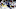 toronto maple leafs toronto maple leafs