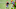Cleveland Browns Cleveland Browns