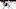 New Jersey Devils New Jersey Devils
