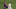 Real Madrid, Luka Modric Real Madrid, Luka Modric