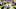 Green Bay Packers Green Bay Packers