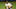 Kyle Lewis jogs off the field after the end of the inning. Kyle Lewis jogs off the field after the end of the inning.