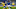 Everton