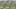 screen-shot-2016-10-25-at-5-35-02-pm