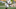 Brian Orakpo, Texas football Brian Orakpo, Texas football