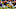 Cleveland Browns Cleveland Browns