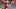 RALEIGH, NC – NOVEMBER 25: Ryan Finley #15 of the North Carolina State Wolfpack throws against the North Carolina Tar Heels during their game at Carter Finley Stadium on November 25, 2017 in Raleigh, North Carolina. (Photo by Grant Halverson/Getty Images) RALEIGH, NC – NOVEMBER 25: Ryan Finley #15 of the North Carolina State Wolfpack throws against the North Carolina Tar Heels during their game at Carter Finley Stadium on November 25, 2017 in Raleigh, North Carolina. (Photo by Grant Halverson/Getty Images)