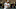 Aug 18, 2016; Baltimore, MD, USA; Baltimore Orioles right fielder 