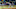 DFS MLB DFS MLB