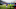 ORCHARD PARK, NY – DECEMBER 17: LeSean McCoy ORCHARD PARK, NY – DECEMBER 17: LeSean McCoy