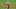 Kyle Trask, 2021 NFL Draft Kyle Trask, 2021 NFL Draft