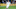 Real Madrid, Dani Carvajal Real Madrid, Dani Carvajal