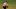 POTOMAC, MD – JULY 02: Charles Howell III of the United States lines up a putt on the 18th green during the final round of the Quicken Loans National on July 2, 2017 TPC Potomac in Potomac, Maryland. (Photo by Patrick Smith/Getty Images) POTOMAC, MD – JULY 02: Charles Howell III of the United States lines up a putt on the 18th green during the final round of the Quicken Loans National on July 2, 2017 TPC Potomac in Potomac, Maryland. (Photo by Patrick Smith/Getty Images)