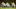 Green Bay Packers Green Bay Packers