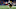 ATLANTA, GEORGIA – FEBRUARY 03: Rob Gronkowski #87 of the New England Patriots catches a 29-yard reception in the fourth quarter against the Los Angeles Rams during Super Bowl LIII at Mercedes-Benz Stadium on February 03, 2019 in Atlanta, Georgia. (Photo by Maddie Meyer/Getty Images) ATLANTA, GEORGIA – FEBRUARY 03: Rob Gronkowski #87 of the New England Patriots catches a 29-yard reception in the fourth quarter against the Los Angeles Rams during Super Bowl LIII at Mercedes-Benz Stadium on February 03, 2019 in Atlanta, Georgia. (Photo by Maddie Meyer/Getty Images)