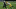 Green Bay Packers Green Bay Packers