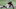 Falcons, Calvin Ridley. (Photo by Kevin C. Cox/Getty Images) Falcons, Calvin Ridley. (Photo by Kevin C. Cox/Getty Images)