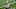 INDIANAPOLIS, INDIANA – NOVEMBER 22: Xavier Rhodes #27 of the Indianapolis Colts on the field in the game against the Green Bay Packers at Lucas Oil Stadium on November 22, 2020 in Indianapolis, Indiana. (Photo by Justin Casterline/Getty Images)