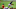 Ozzie Albies, Atlanta Braves Ozzie Albies, Atlanta Braves