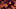 league of legends league of legends