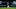 (Photo by Tony McArdle/Everton FC via Getty Images) (Photo by Tony McArdle/Everton FC via Getty Images)