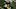 Notre Dame Football Notre Dame Football