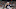 FOXBORO, MA – JANUARY 22: Tom Brady FOXBORO, MA – JANUARY 22: Tom Brady