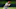 DraftKings DraftKings