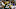 Packers Aaron Rodgers Packers Aaron Rodgers