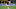 AC Milan v Bologna FC - Serie A