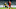 América de Cali v Alianza Petrolera - Liga BetPlay I 2020