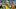 Aston Villa v Norwich City - Sky Bet Championship Aston Villa v Norwich City - Sky Bet Championship