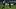 Luis Muriel, Robin Gosens Luis Muriel, Robin Gosens