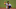 Acuña Jr. está en la categoría de jugadores de la talla de Mike Trout y Mookie Betts, quienes son capaces de hacer todo Acuña Jr. está en la categoría de jugadores de la talla de Mike Trout y Mookie Betts, quienes son capaces de hacer todo