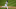 El dominicano Robinson Canó tiene un total de 2.624 imparables en sus 16 años de carreras como jugador de las Grandes Ligas