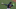 Marcell Ozuna es el outfielder latino con mejor sueldo en 2021 Marcell Ozuna es el outfielder latino con mejor sueldo en 2021