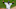Frazier ya mostró su potencial Frazier ya mostró su potencial