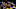 Boca festejando en esta Libertadores