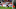 Bologna FC v AS Roma - Serie A