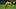 Borussia Moenchengladbach v Borussia Dortmund - Bundesliga