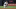 Gleyber Torres sigue con problemas en el plato Gleyber Torres sigue con problemas en el plato