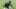 Brasileirao Series A: Palmeiras v Vasco da Gama Play Behind Closed Doors Amidst the Coronavirus