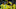 Brazilian captain Cafu jumps over teamates to cele