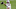 Un Josh Allen a nivel de MVP lidera a los Bills con una de las mejores marcas de la liga Un Josh Allen a nivel de MVP lidera a los Bills con una de las mejores marcas de la liga