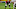 NY Jets, Evan Neal NY Jets, Evan Neal