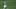 Andres Guardado Andres Guardado
