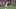 Cagliari Calcio v Juventus - Serie A
