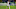 Alex Sandro