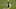Rodgers es uno de los máximos candidatos al MVP y lidera al equipo con mejor marca en la NFC Rodgers es uno de los máximos candidatos al MVP y lidera al equipo con mejor marca en la NFC