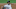 Gio Gonzalez tendrá cuesta arriba desplazar de la rotación a alguna de las promesas de los Marlins Gio Gonzalez tendrá cuesta arriba desplazar de la rotación a alguna de las promesas de los Marlins